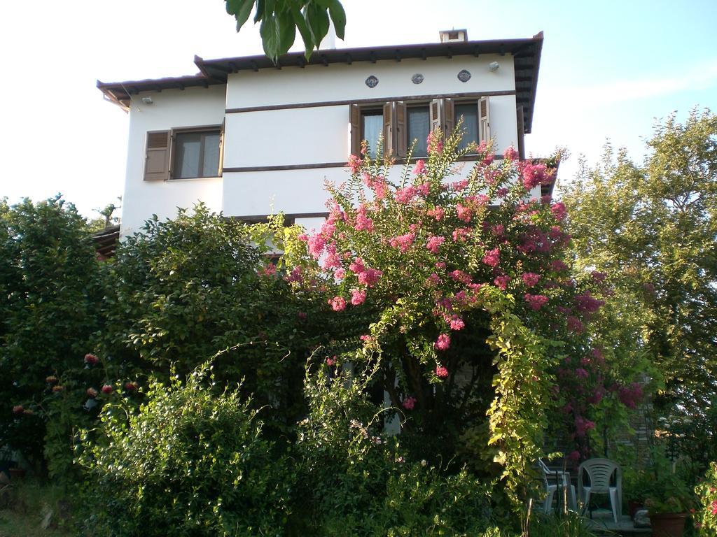 Pension Panos Agios Dimitrios  Exterior photo